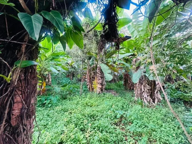 (AFA528) 55 Perch Land for Sale in Mount Lavinia