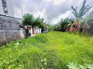 (AFA539) 19 P Land Sale At Pathiragoda Road Maharagama
