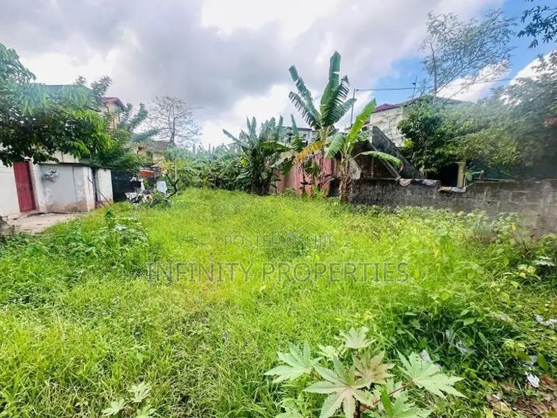 (AFA539) 19 P Land Sale At Pathiragoda Road Maharagama