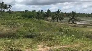 (AFA555) 200 P Beach Facing Land Sale At Usangoda Nonagama