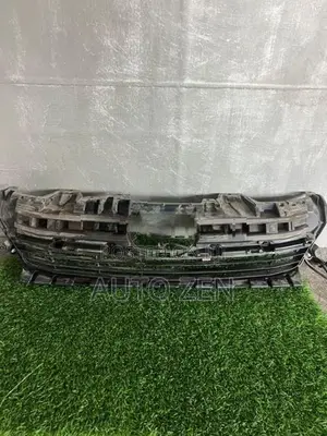 Lexus HS250H Grill Guard