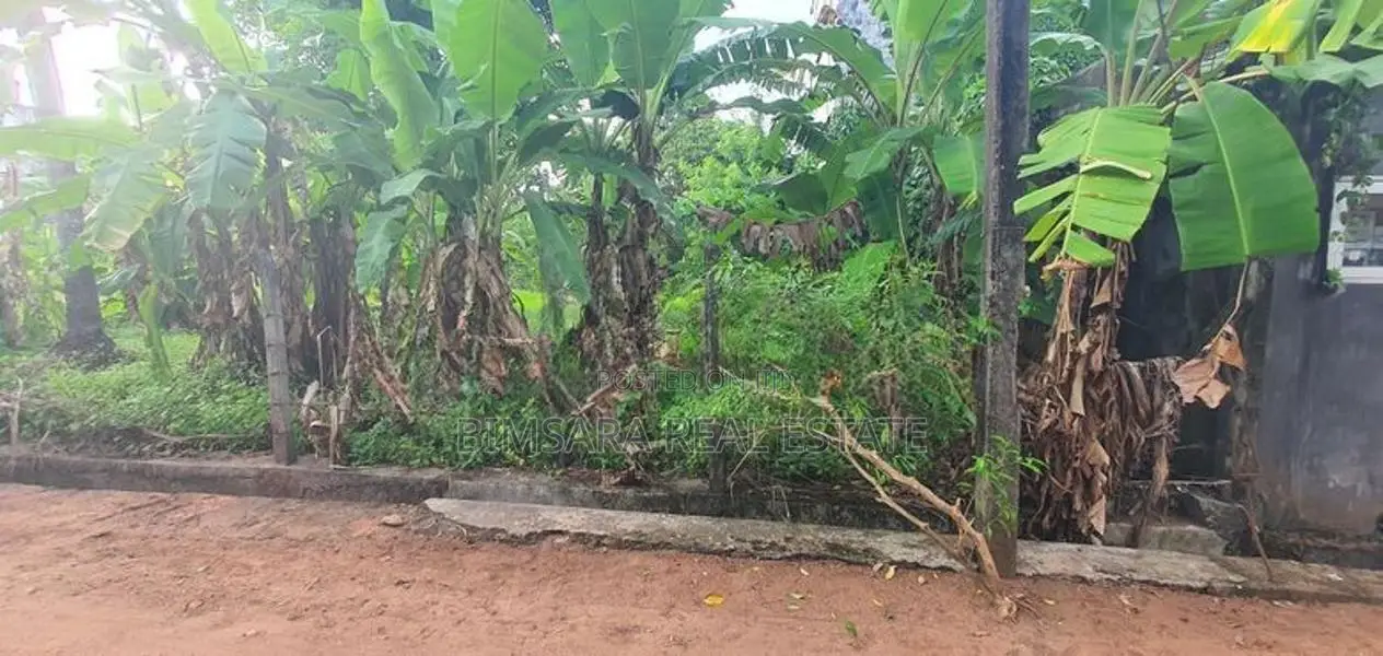 14.75P – Semi-Commercial Land for Sale in Maharagama | SL14693