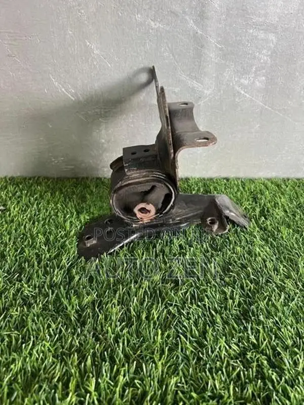 Axio 165 Engine Mount