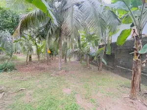 COMMERCIAL LAND FOR RENT IN KELANIYA (SP888)