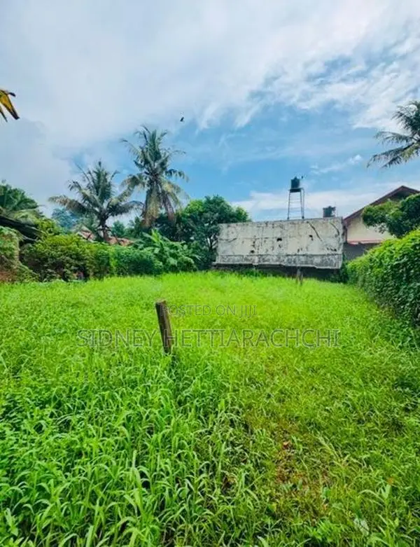 LAND FOR SALE JAELA