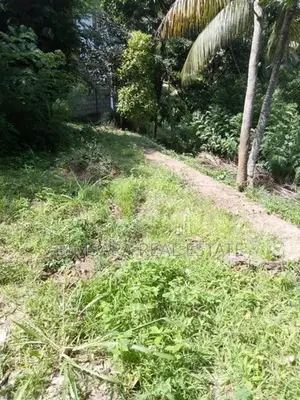 Prime 12.78 P Residential Land in Watapuluwa Kandy | SL14712