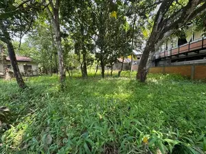 Land for Sale Ratthanapitiya