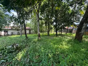 Land for Sale Ratthanapitiya