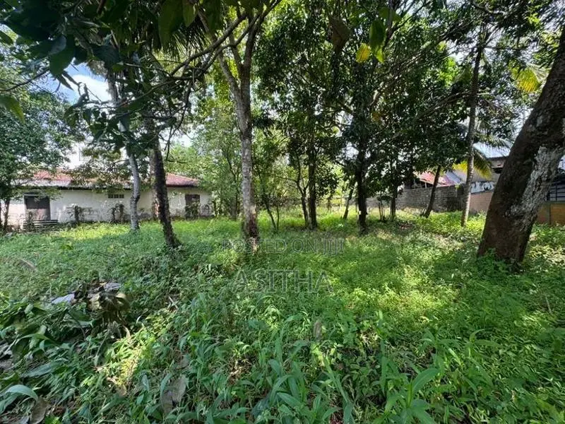 Land for Sale Ratthanapitiya