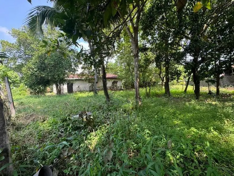Land for Sale Ratthanapitiya