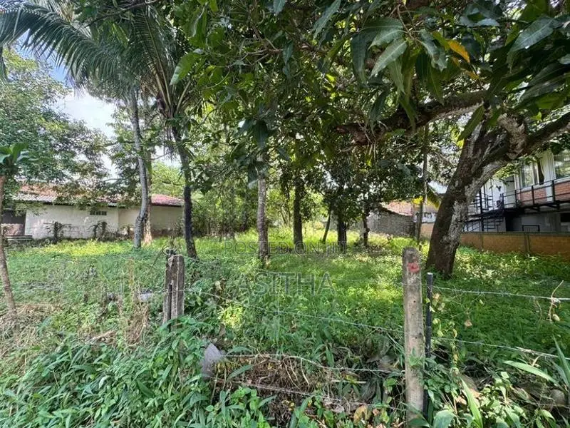 Land for Sale Ratthanapitiya