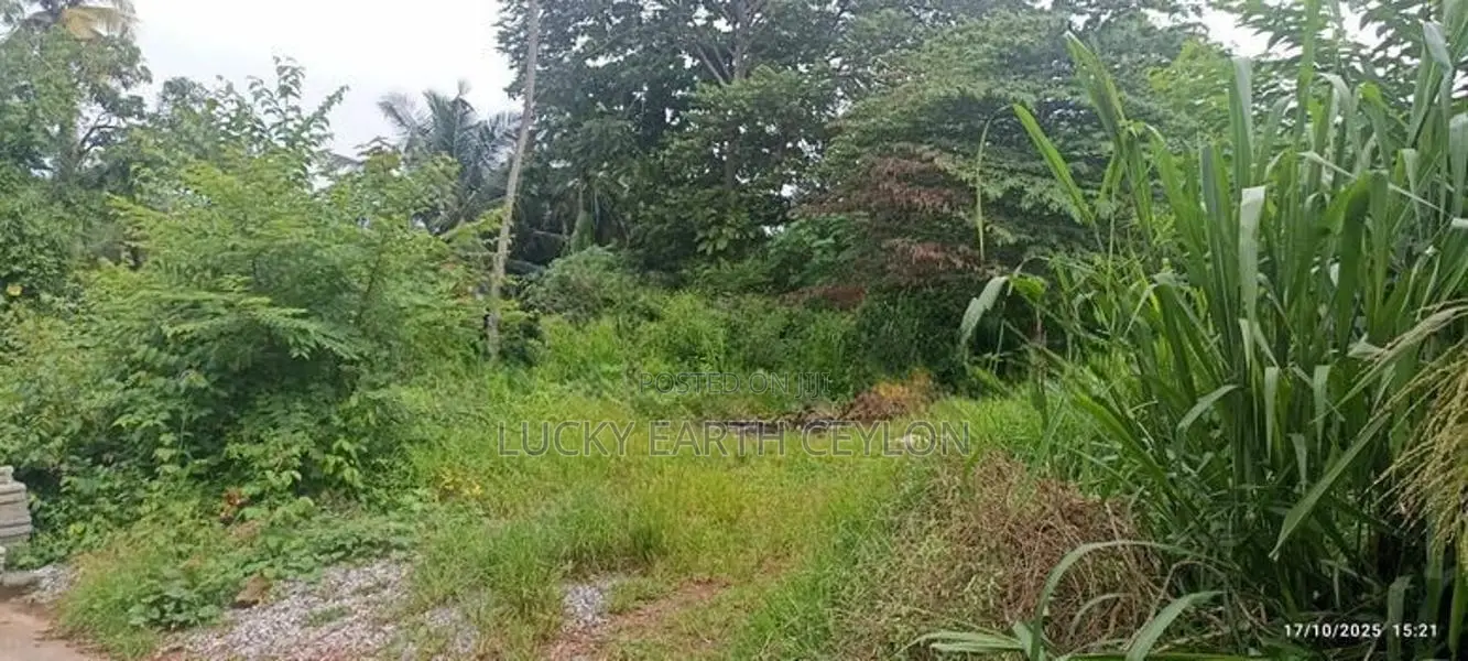 Sale Maharagama, Residential Square Shaped Land (NZMSM3033)