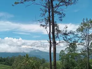 Land for Sale Nuwaraeliya