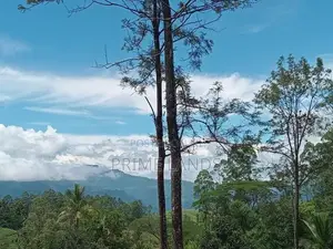 Land for Sale Ramboda