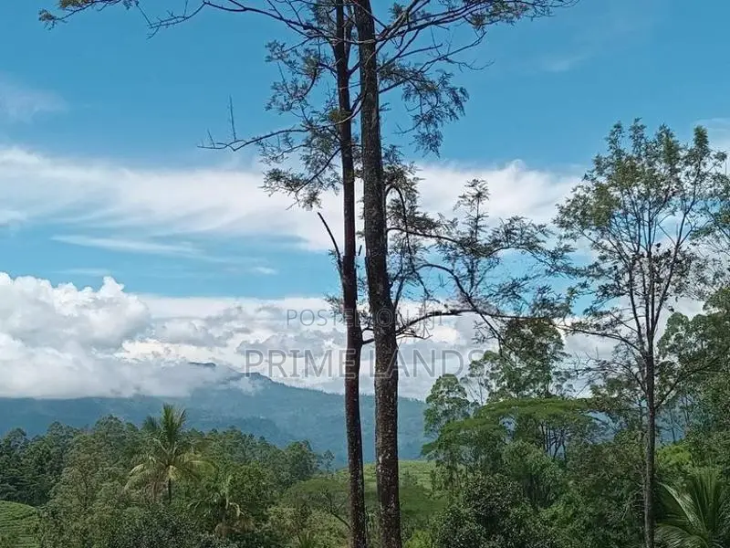 Land for Sale Ramboda