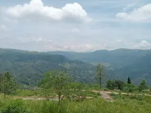 Land for Sale Pussellawa
