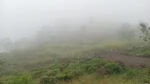 Land for Sale Tea Estate