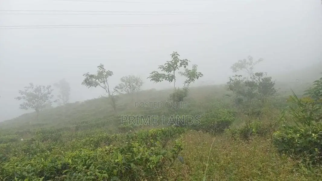 Land for Sale Nuwara Eliya Road