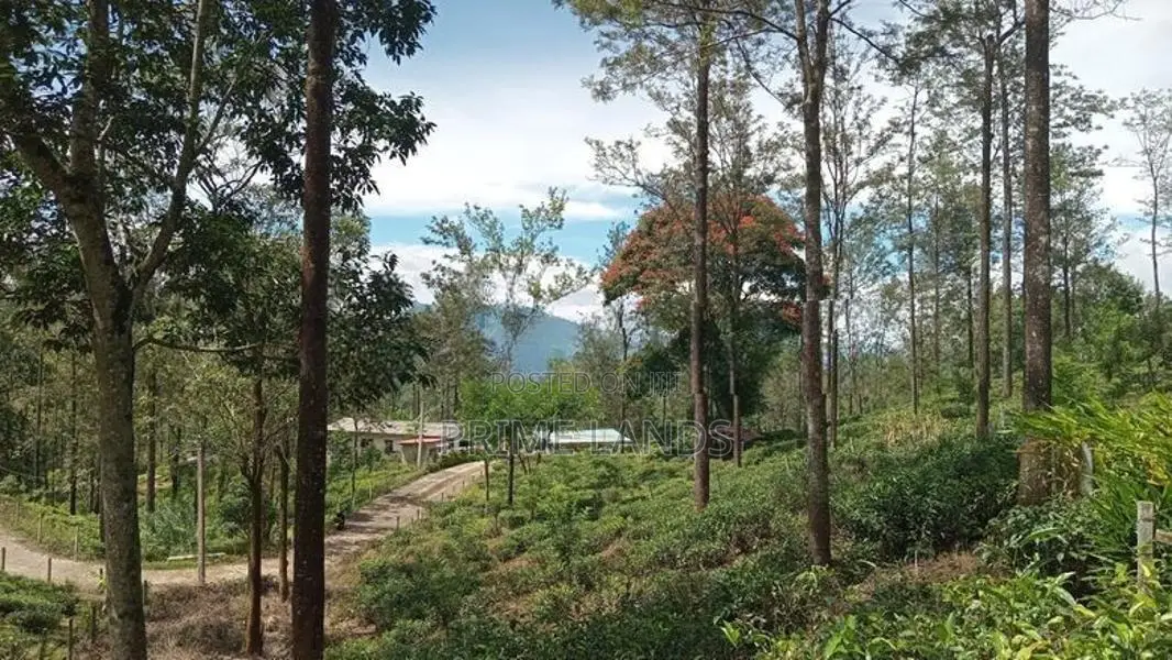Land for Sale Nuwara Eliya