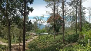Land for Sale Nuwara Eliya