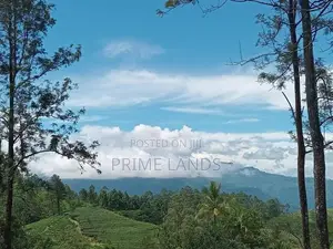Land for Sale Ramboda