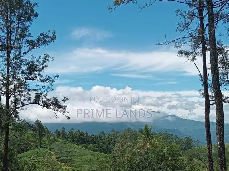 Land for Sale Ramboda