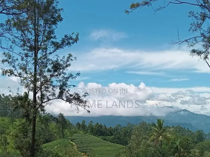 Land for Sale Nuwara Eliya Road