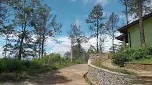 Land for Sale Ramboda