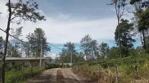 Land for Sale Ramboda