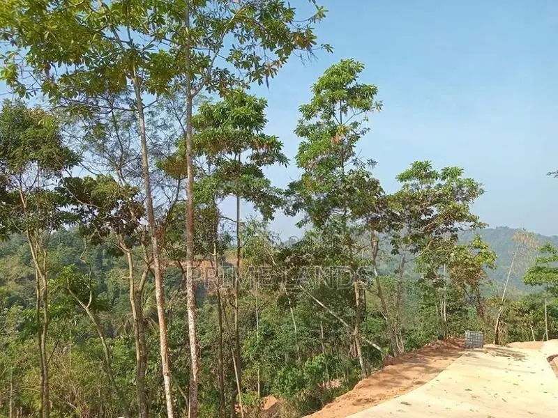 Land for Sale Pussellawa