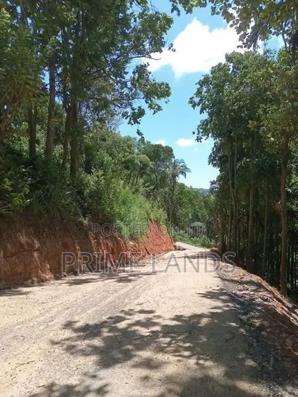 Land for Sale Nuwaraeliya