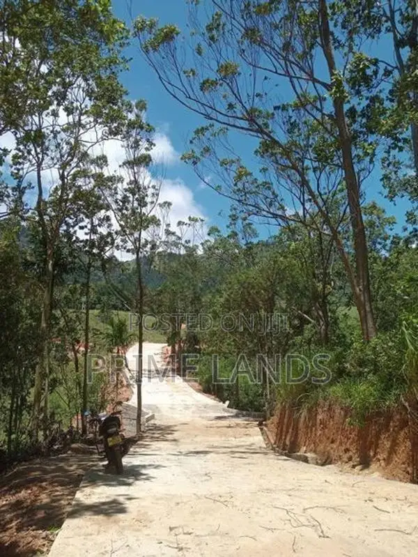 Land for Sale Nuwara Eliya Road