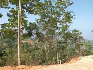 Land for Sale Ramboda
