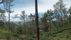 Land for Sale Ramboda
