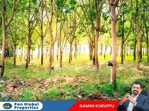 Estate For Sale in Rathnapura