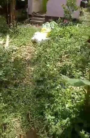 Ragama Bare Land in A Prime Location
