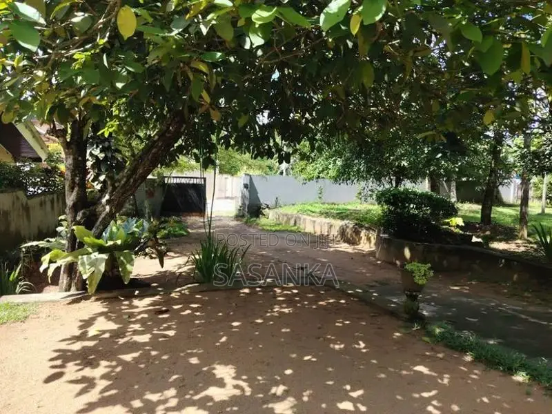 Malabe Kaduwela Road Single Storey House for Sale