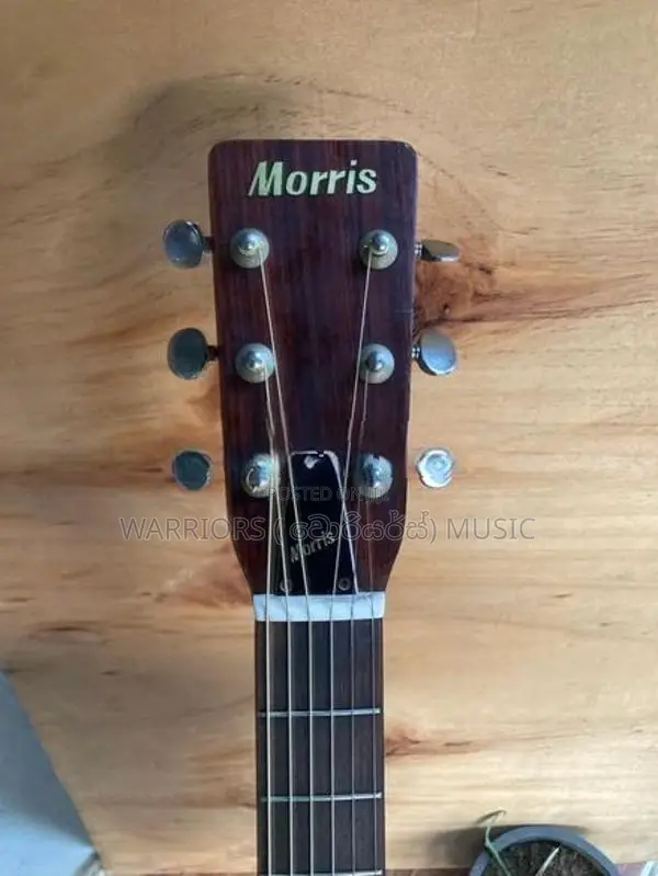 Morris F 15 Made in Japan Acoustic Guitar
