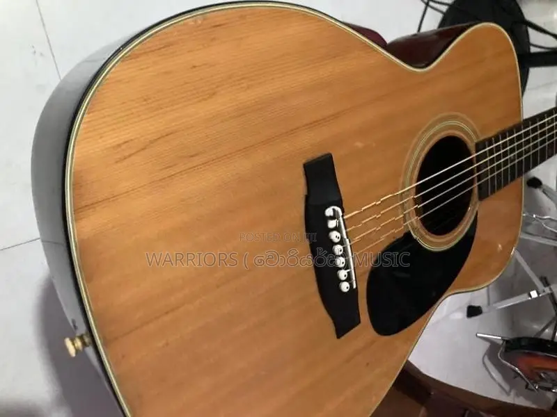 Morris F 15 Made in Japan Acoustic Guitar