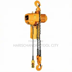 Yall chain hoist 5ton 15m (three phase)