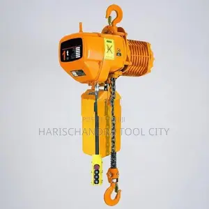 Yall chain hoist 1ton 12m (single phase)