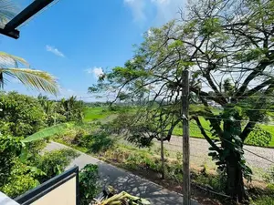 Modern House From Pannipitiya Facing a Beautiful Paddy Field
