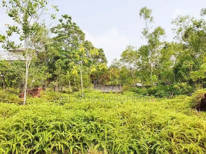 Commercial Land for Sale in Wadduwa