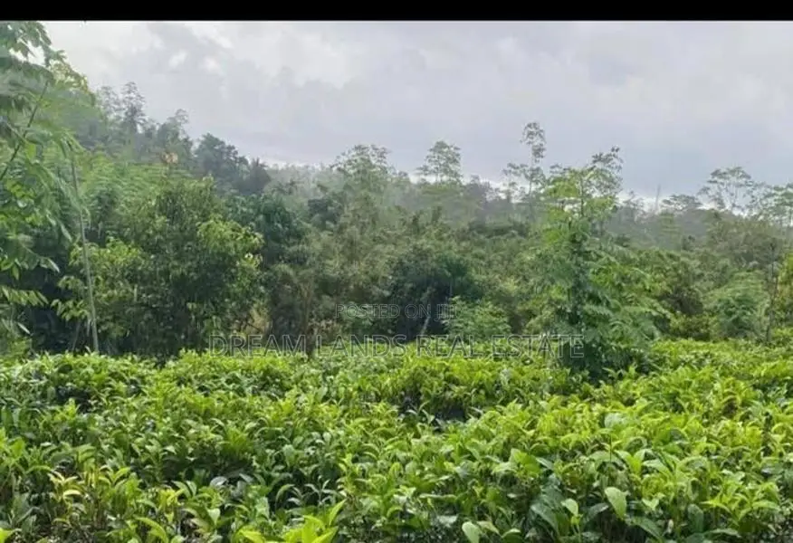 ☆ Ahaliyagoda Agricultural Land for Sale ( RS - 492)
