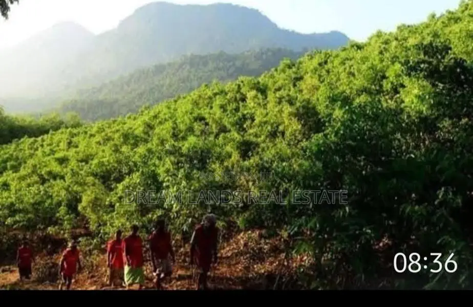 ☆ Ahaliyagoda Agricultural Land for Sale ( RS - 492)