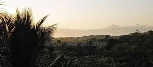☆ Ahaliyagoda Agricultural Land for Sale ( RS - 492)