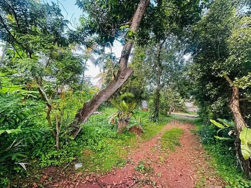(AFA716) 30 perches residential bare land for sale in maharagama