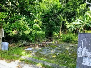 නිට්ටඹුව නගර මධ්‍යයෙන්‎ වටිනා නේවාසික ඉඩමක් විකිනීමට .