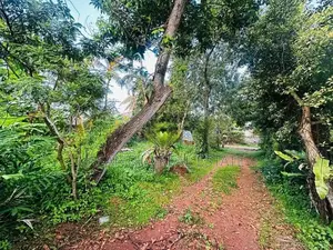 (AFA716) 30 perches residential bare land for sale in maharagama