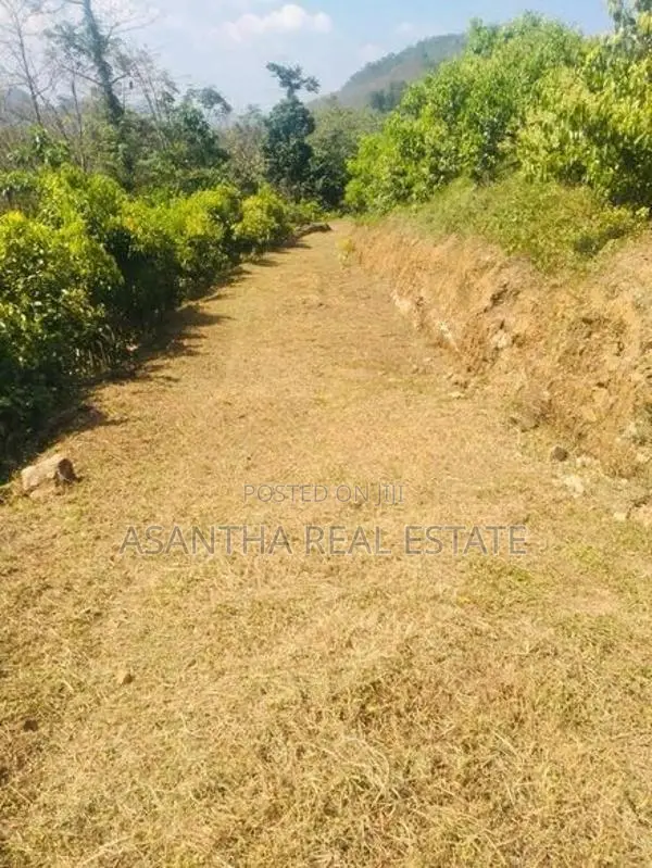 (AFA717) Land for sale in Eheliyagoda